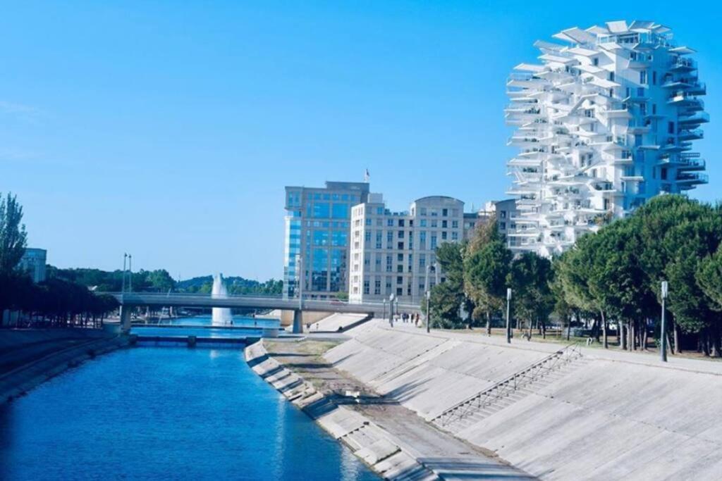 Appartement T2 A L'Arbre Blanc Montpellier Esterno foto